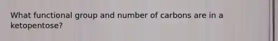 What functional group and number of carbons are in a ketopentose?