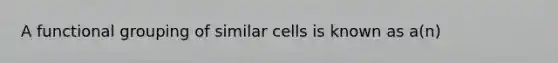 A functional grouping of similar cells is known as a(n)