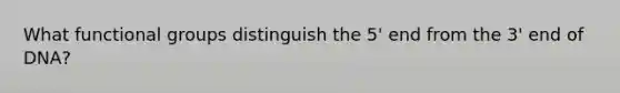 What functional groups distinguish the 5' end from the 3' end of DNA?