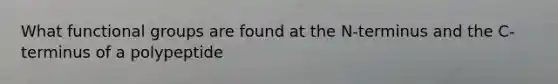 What functional groups are found at the N-terminus and the C-terminus of a polypeptide