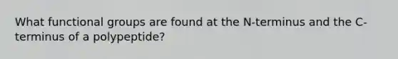 What functional groups are found at the N-terminus and the C-terminus of a polypeptide?