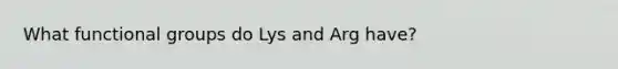 What functional groups do Lys and Arg have?