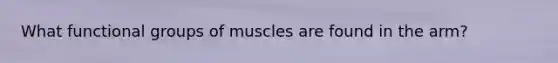 What functional groups of muscles are found in the arm?