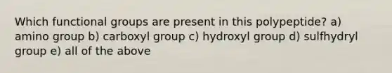 Which functional groups are present in this polypeptide? a) amino group b) carboxyl group c) hydroxyl group d) sulfhydryl group e) all of the above