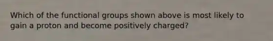 Which of the functional groups shown above is most likely to gain a proton and become positively charged?