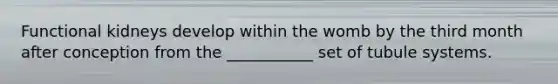 Functional kidneys develop within the womb by the third month after conception from the ___________ set of tubule systems.