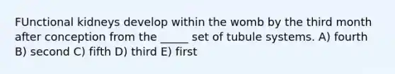 FUnctional kidneys develop within the womb by the third month after conception from the _____ set of tubule systems. A) fourth B) second C) fifth D) third E) first