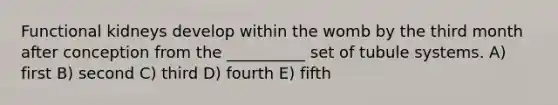 Functional kidneys develop within the womb by the third month after conception from the __________ set of tubule systems. A) first B) second C) third D) fourth E) fifth
