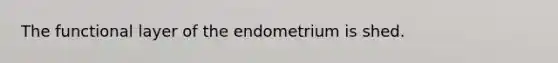 The functional layer of the endometrium is shed.