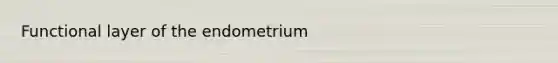 Functional layer of the endometrium