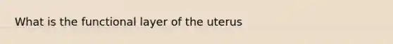 What is the functional layer of the uterus