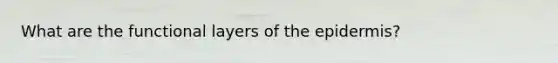 What are the functional layers of the epidermis?