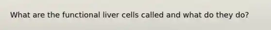 What are the functional liver cells called and what do they do?