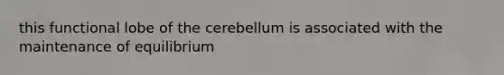 this functional lobe of the cerebellum is associated with the maintenance of equilibrium