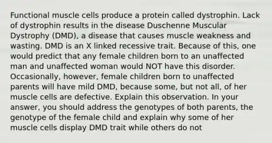 Functional muscle cells produce a protein called dystrophin. Lack of dystrophin results in the disease Duschenne Muscular Dystrophy (DMD), a disease that causes muscle weakness and wasting. DMD is an X linked recessive trait. Because of this, one would predict that any female children born to an unaffected man and unaffected woman would NOT have this disorder. Occasionally, however, female children born to unaffected parents will have mild DMD, because some, but not all, of her muscle cells are defective. Explain this observation. In your answer, you should address the genotypes of both parents, the genotype of the female child and explain why some of her muscle cells display DMD trait while others do not