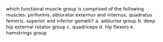 which functional muscle group is comprised of the following muscles: piriformis, obturator externus and internus, quadratus femoris, superior and inferior gemelli? a. adductor group b. deep hip external rotator group c. quadriceps d. hip flexors e. hamstrings group