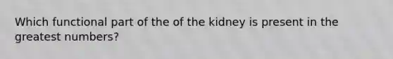 Which functional part of the of the kidney is present in the greatest numbers?