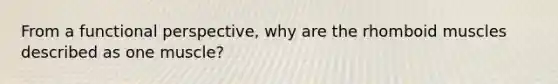 From a functional perspective, why are the rhomboid muscles described as one muscle?