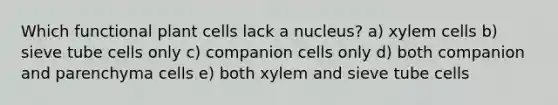 Which functional plant cells lack a nucleus? a) xylem cells b) sieve tube cells only c) companion cells only d) both companion and parenchyma cells e) both xylem and sieve tube cells