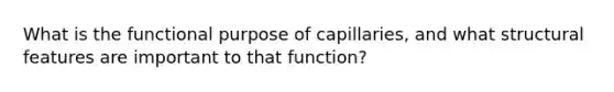 What is the functional purpose of capillaries, and what structural features are important to that function?