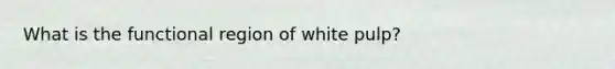 What is the functional region of white pulp?