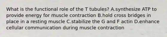 What is the functional role of the T tubules? A.synthesize ATP to provide energy for <a href='https://www.questionai.com/knowledge/k0LBwLeEer-muscle-contraction' class='anchor-knowledge'>muscle contraction</a> B.hold cross bridges in place in a resting muscle C.stabilize the G and F actin D.enhance cellular communication during muscle contraction