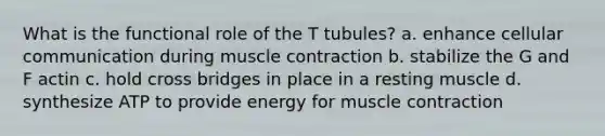 What is the functional role of the T tubules? a. enhance cellular communication during muscle contraction b. stabilize the G and F actin c. hold cross bridges in place in a resting muscle d. synthesize ATP to provide energy for muscle contraction