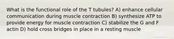 What is the functional role of the T tubules? A) enhance cellular communication during muscle contraction B) synthesize ATP to provide energy for muscle contraction C) stabilize the G and F actin D) hold cross bridges in place in a resting muscle