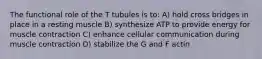 The functional role of the T tubules is to: A) hold cross bridges in place in a resting muscle B) synthesize ATP to provide energy for muscle contraction C) enhance cellular communication during muscle contraction D) stabilize the G and F actin