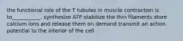 the functional role of the T tubules in muscle contraction is to___________. synthesize ATP stabilize the thin filaments store calcium ions and release them on demand transmit an action potential to the interior of the cell