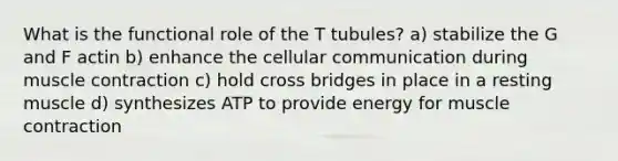 What is the functional role of the T tubules? a) stabilize the G and F actin b) enhance the cellular communication during <a href='https://www.questionai.com/knowledge/k0LBwLeEer-muscle-contraction' class='anchor-knowledge'>muscle contraction</a> c) hold cross bridges in place in a resting muscle d) synthesizes ATP to provide energy for muscle contraction