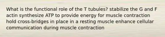 What is the functional role of the T tubules? stabilize the G and F actin synthesize ATP to provide energy for <a href='https://www.questionai.com/knowledge/k0LBwLeEer-muscle-contraction' class='anchor-knowledge'>muscle contraction</a> hold cross-bridges in place in a resting muscle enhance cellular communication during muscle contraction