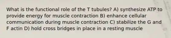 What is the functional role of the T tubules? A) synthesize ATP to provide energy for muscle contraction B) enhance cellular communication during muscle contraction C) stabilize the G and F actin D) hold cross bridges in place in a resting muscle