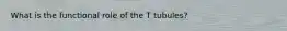 What is the functional role of the T tubules?