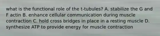 what is the functional role of the t-tubules? A. stabilize the G and F actin B. enhance cellular communication during muscle contraction C. hold cross bridges in place in a resting muscle D. synthesize ATP to provide energy for muscle contraction