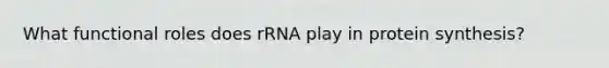 What functional roles does rRNA play in protein synthesis?