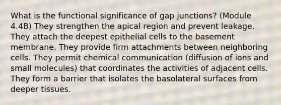 What is the functional significance of gap junctions? (Module 4.4B) They strengthen the apical region and prevent leakage. They attach the deepest epithelial cells to the basement membrane. They provide firm attachments between neighboring cells. They permit chemical communication (diffusion of ions and small molecules) that coordinates the activities of adjacent cells. They form a barrier that isolates the basolateral surfaces from deeper tissues.