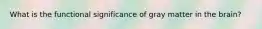 What is the functional significance of gray matter in the brain?