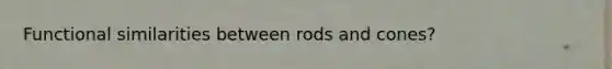 Functional similarities between rods and cones?