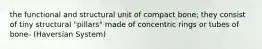 the functional and structural unit of compact bone; they consist of tiny structural "pillars" made of concentric rings or tubes of bone- (Haversian System)