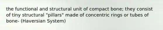 the functional and structural unit of compact bone; they consist of tiny structural "pillars" made of concentric rings or tubes of bone- (Haversian System)