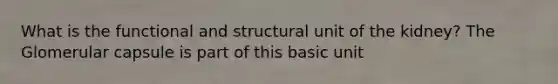 What is the functional and structural unit of the kidney? The Glomerular capsule is part of this basic unit