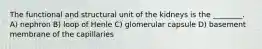 The functional and structural unit of the kidneys is the ________. A) nephron B) loop of Henle C) glomerular capsule D) basement membrane of the capillaries