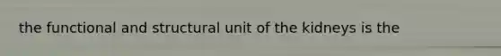 the functional and structural unit of the kidneys is the