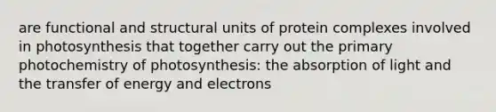 are functional and structural units of protein complexes involved in photosynthesis that together carry out the primary photochemistry of photosynthesis: the absorption of light and the transfer of energy and electrons