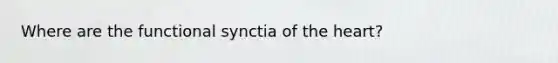 Where are the functional synctia of the heart?