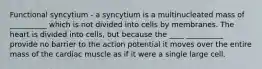 Functional syncytium - a syncytium is a multinucleated mass of __________ which is not divided into cells by membranes. The heart is divided into cells, but because the ____ __________ provide no barrier to the action potential it moves over the entire mass of the cardiac muscle as if it were a single large cell.