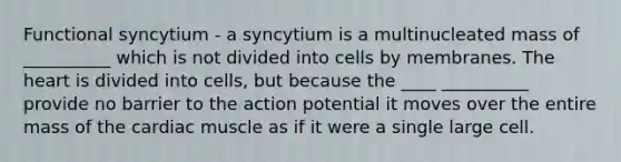 Functional syncytium - a syncytium is a multinucleated mass of __________ which is not divided into cells by membranes. The heart is divided into cells, but because the ____ __________ provide no barrier to the action potential it moves over the entire mass of the cardiac muscle as if it were a single large cell.