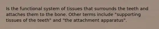 Is the functional system of tissues that surrounds the teeth and attaches them to the bone. Other terms include "supporting tissues of the teeth" and "the attachment apparatus".