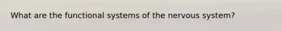 What are the functional systems of the nervous system?